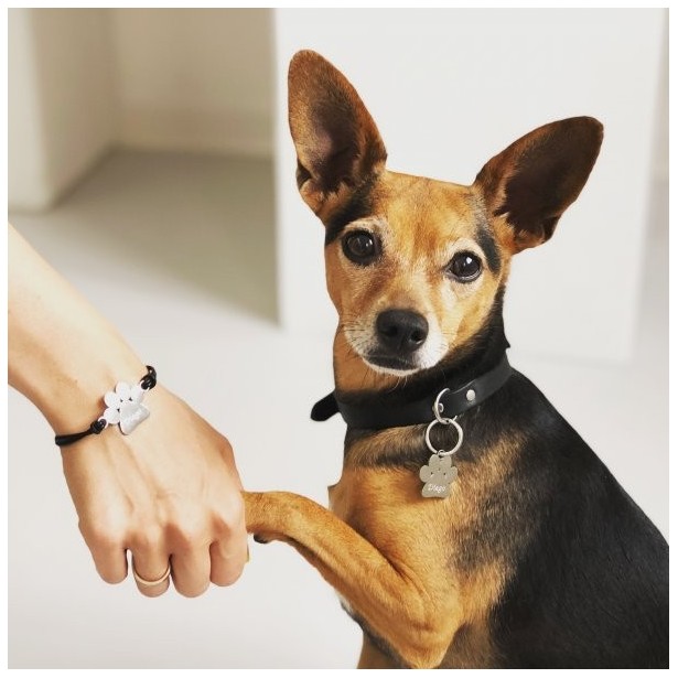 Armband für Herrchen und Plakette für den Hund mit individueller Gravur